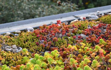 the cost of Dullaghan green roof installation