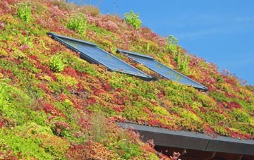 Dullaghan living roof systems